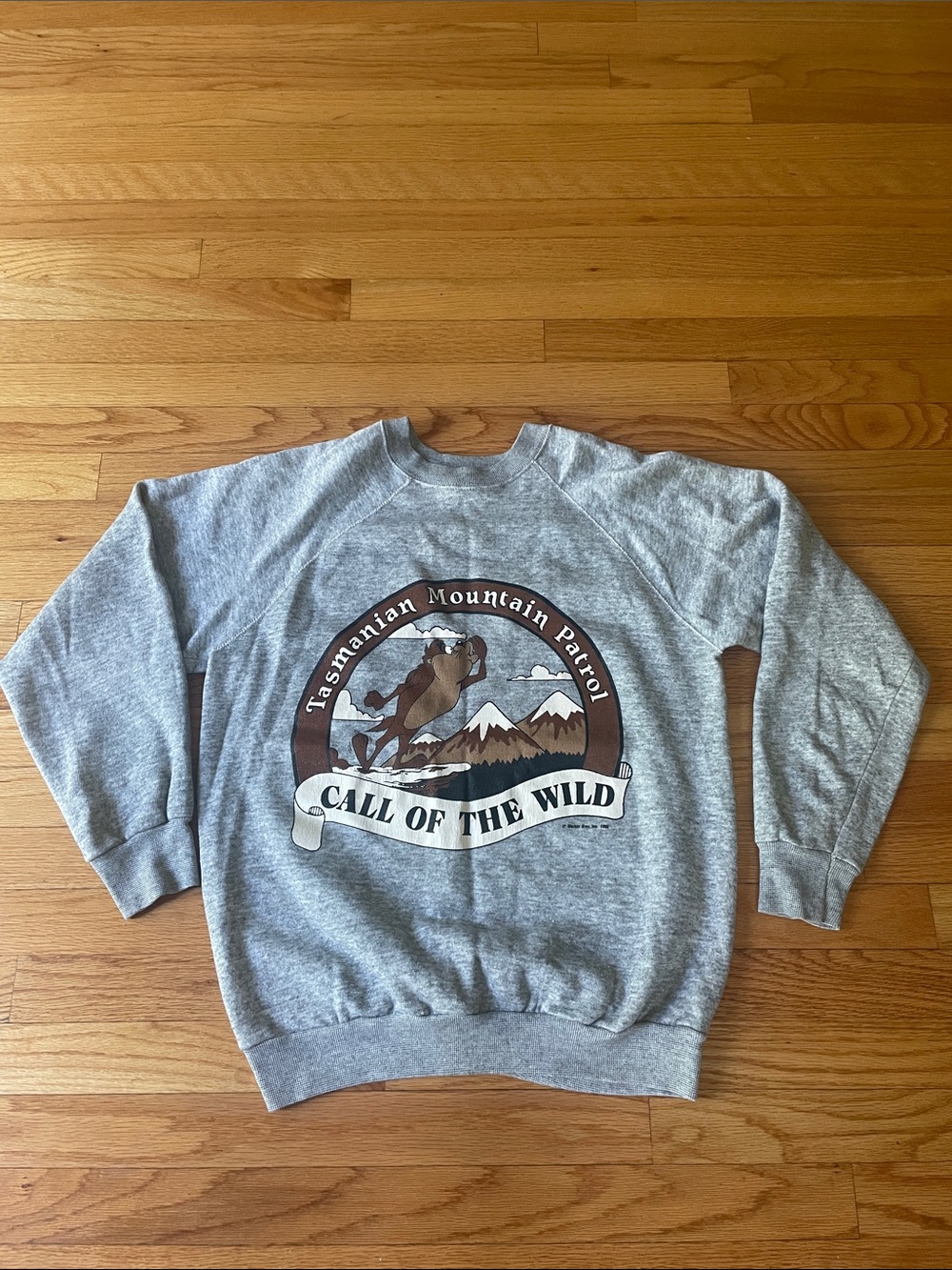 VTG 80s Warner bros Sweatshirt pullover hoodie Tasmanian graphic size large